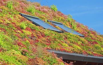 Platts Heath living roof systems