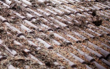 Platts Heath roof cleaning companies